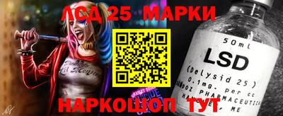 mdpv Малоярославец