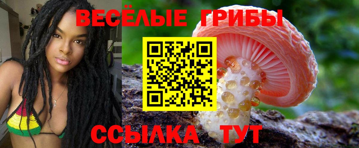Туймазы  Псилоцибиновые грибы MAGIC MUSHROOMS  где продают   Галлюциногенные грибы ЛСД  Вход с VPN 